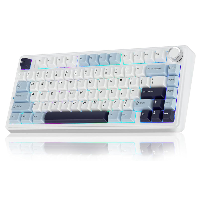 Aula F75 RGB Tri-Mode Type-C 75% 80-Key Gasket Structure Hot-Swap Mechanical Gaming Keyboard (Reaper Switch) (Light Blue/White/Black Purple)
