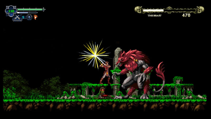 Nintendo Switch Chronicles of the Wolf (US) (Eng/Fr)