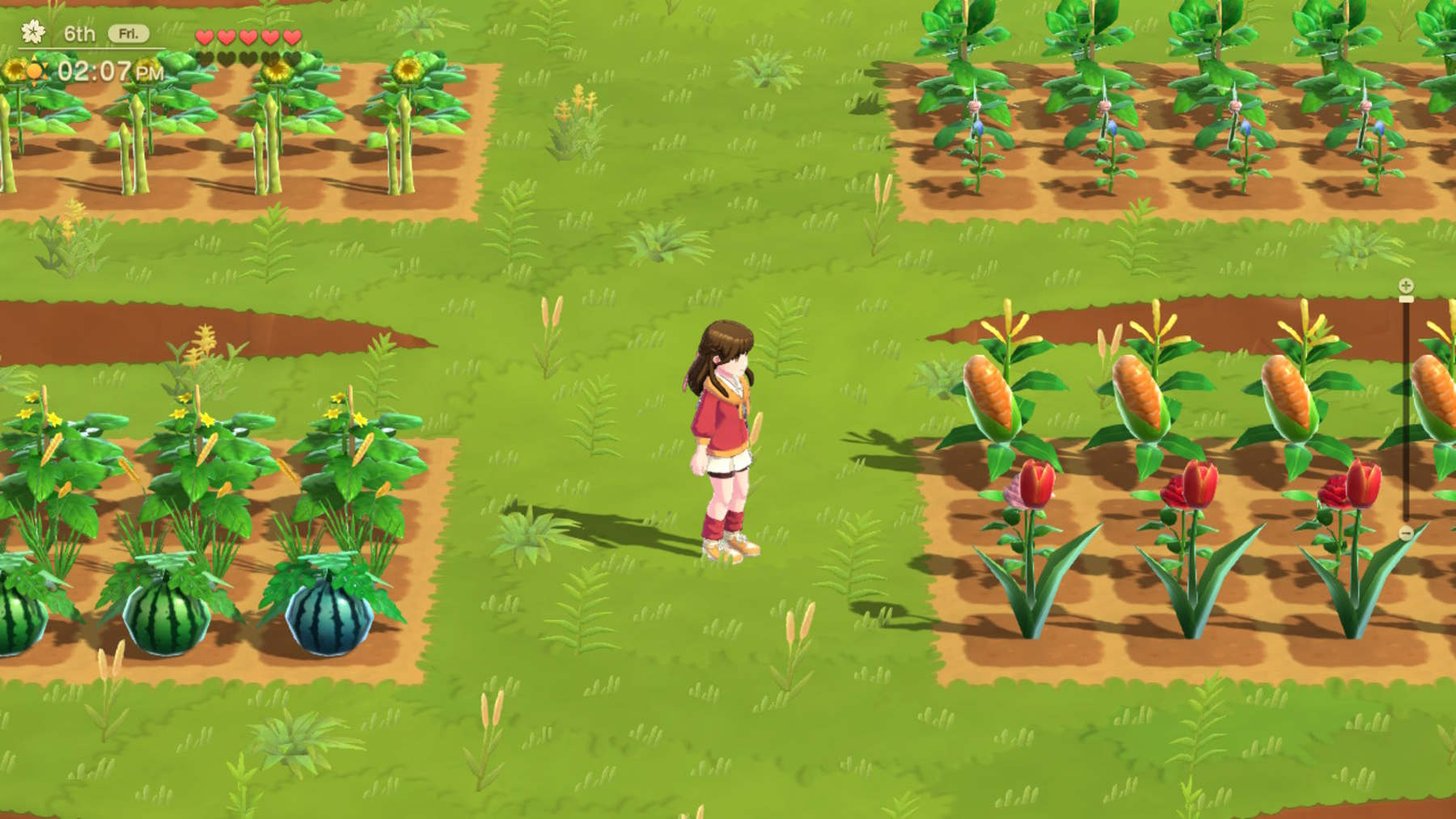 Harvest Moon Home Sweet Home Special Edition