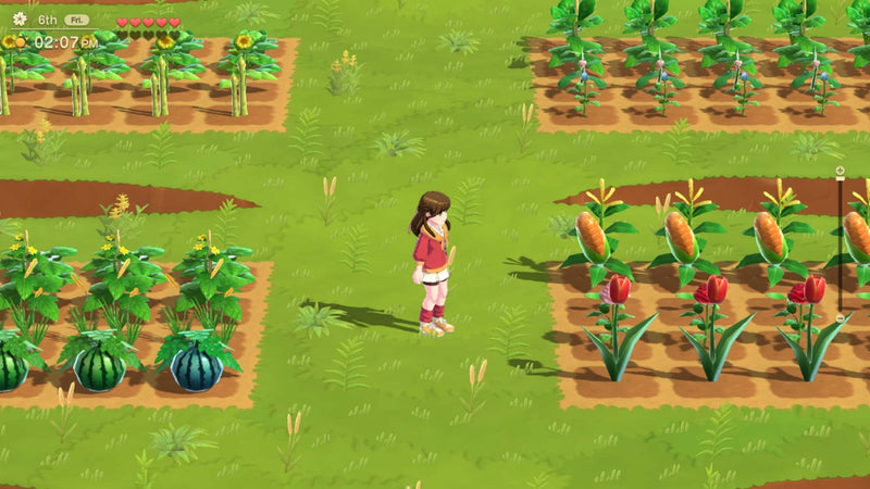Harvest Moon Home Sweet Home Special Edition