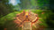 Nintendo Switch 2 Dragon Quest I & II HD-2D Remake Pre-Order Downpayment