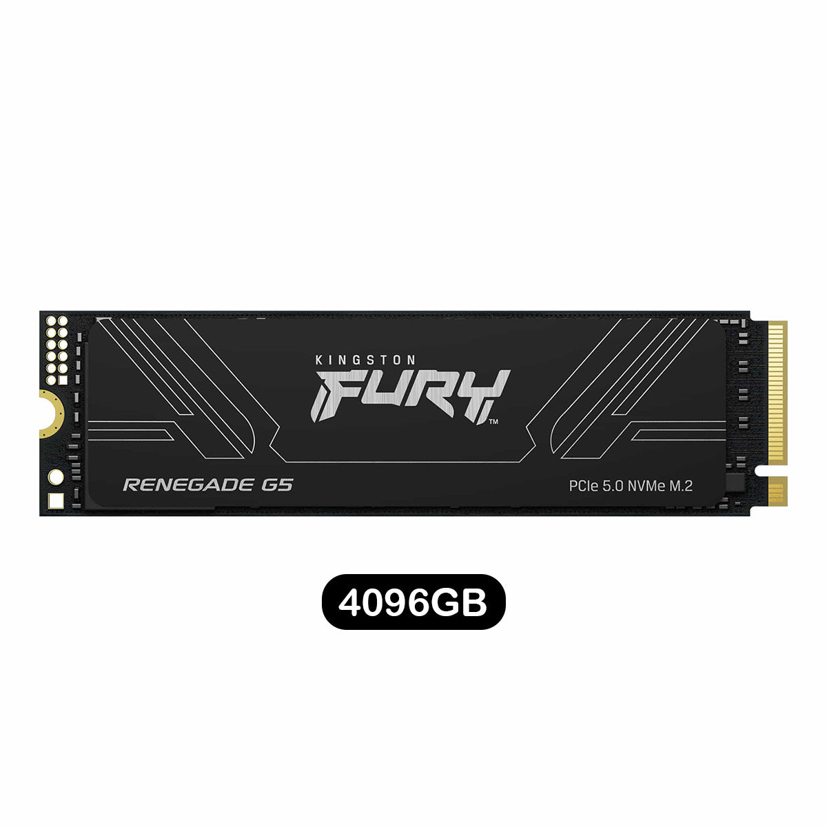 Kingston Fury Renegade G5 PCIe Gen5 NVMe M.2 2280 SSD | DataBlitz
