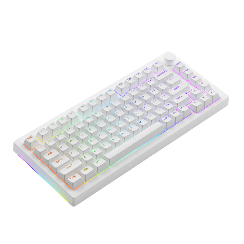 Akko 5075S Shine-Through RGB Hot-Swappable Mechanical Keyboard White (Akko Cs Wine Red) - DataBlitz