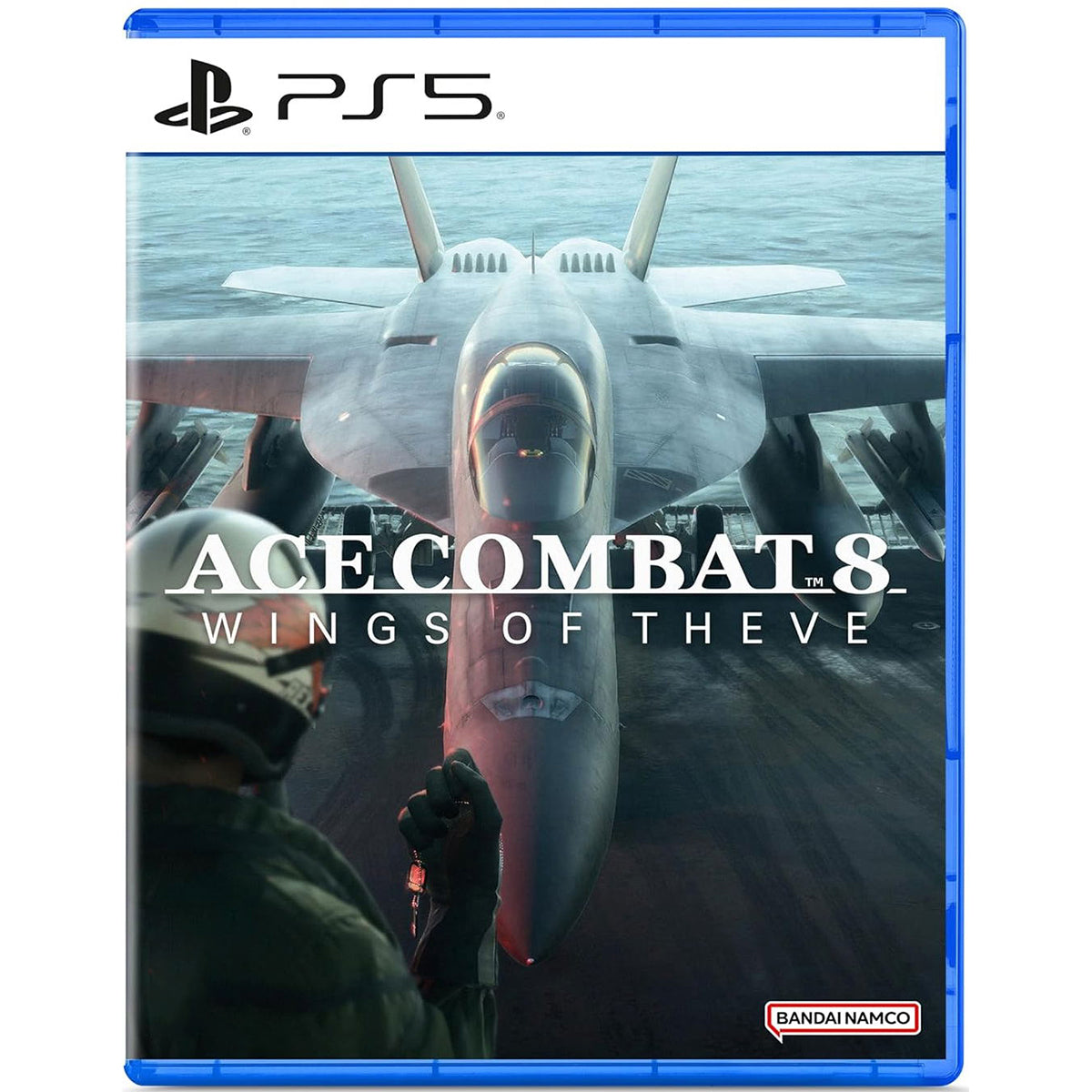 Ace Combat 8 Wings of Theve | DataBlitz