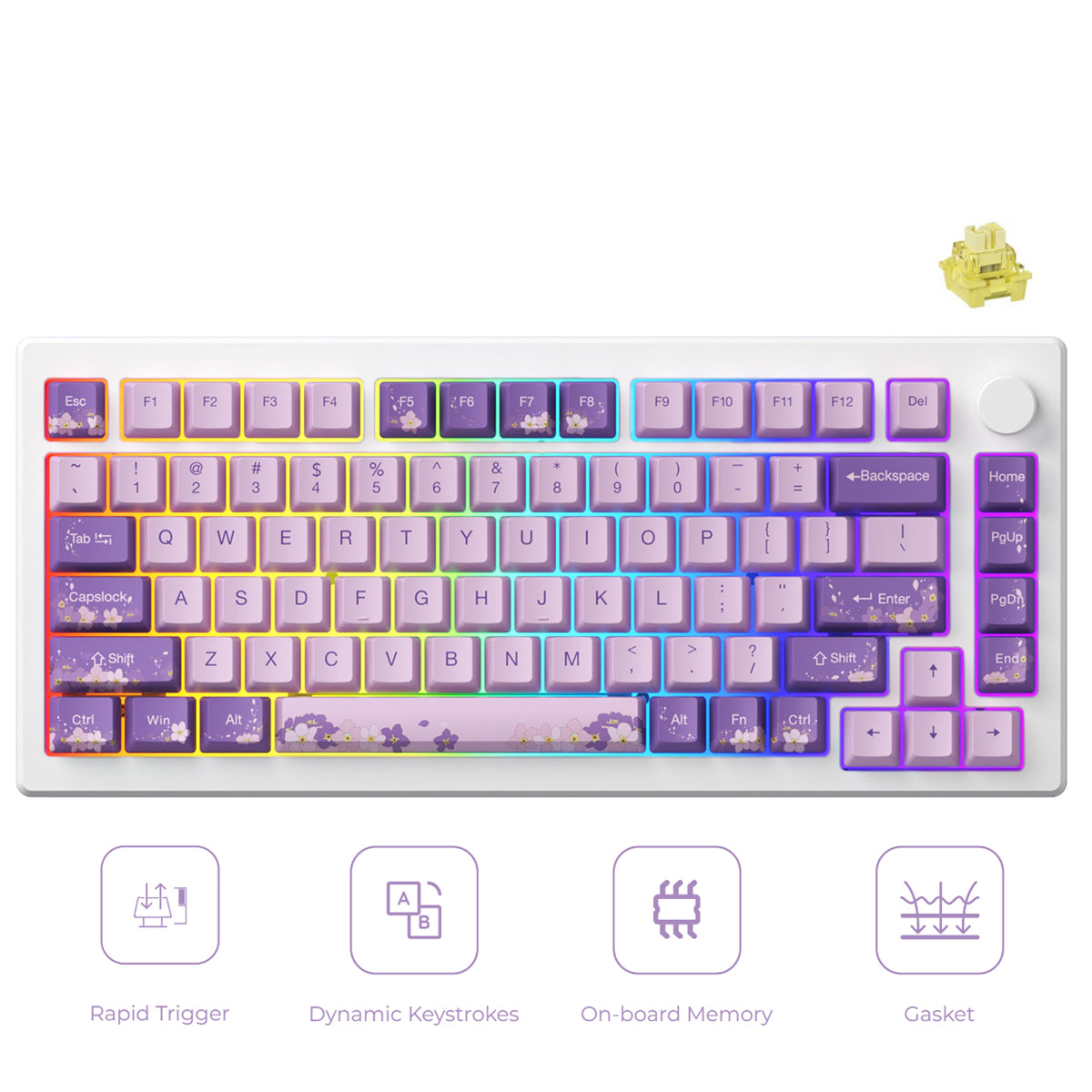 Akko MOD 007 HE PC Wired RGB Hot-Swappable Mechanical Keyboard (Purple Melody) (Akko Cream Yellow Magnetic Switch)