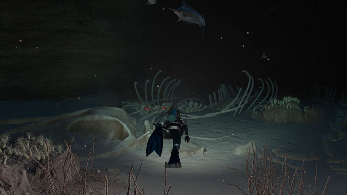 Nintendo Switch Endless Ocean Luminous