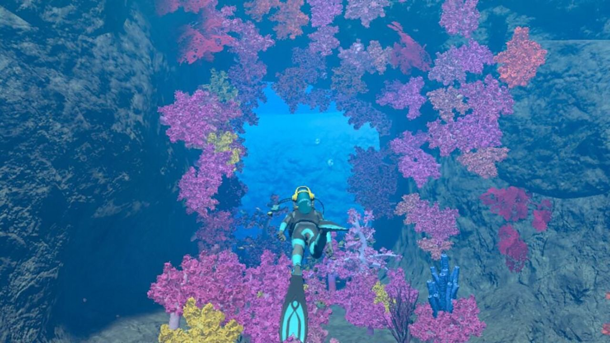 Nintendo Switch Endless Ocean Luminous