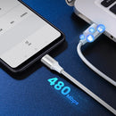 Ugreen USB-C Male to USB-A 2.0 Male Cable - (White) 