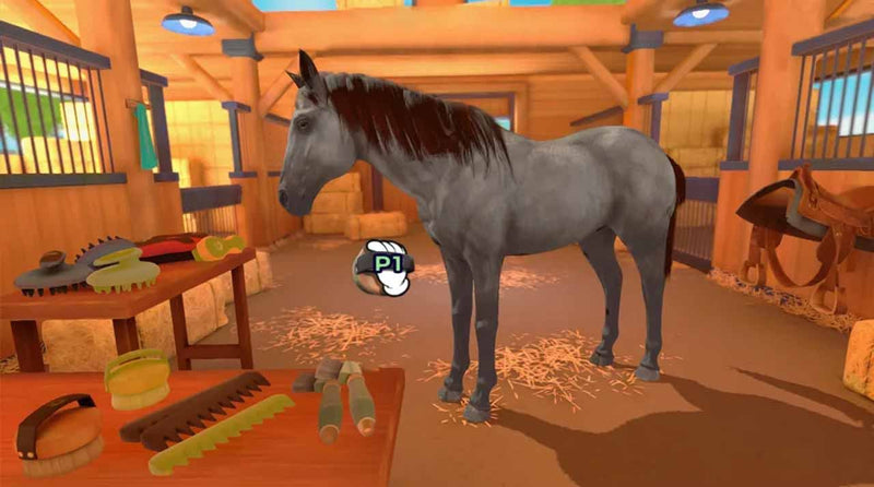 Nintendo Switch Equestrian Training