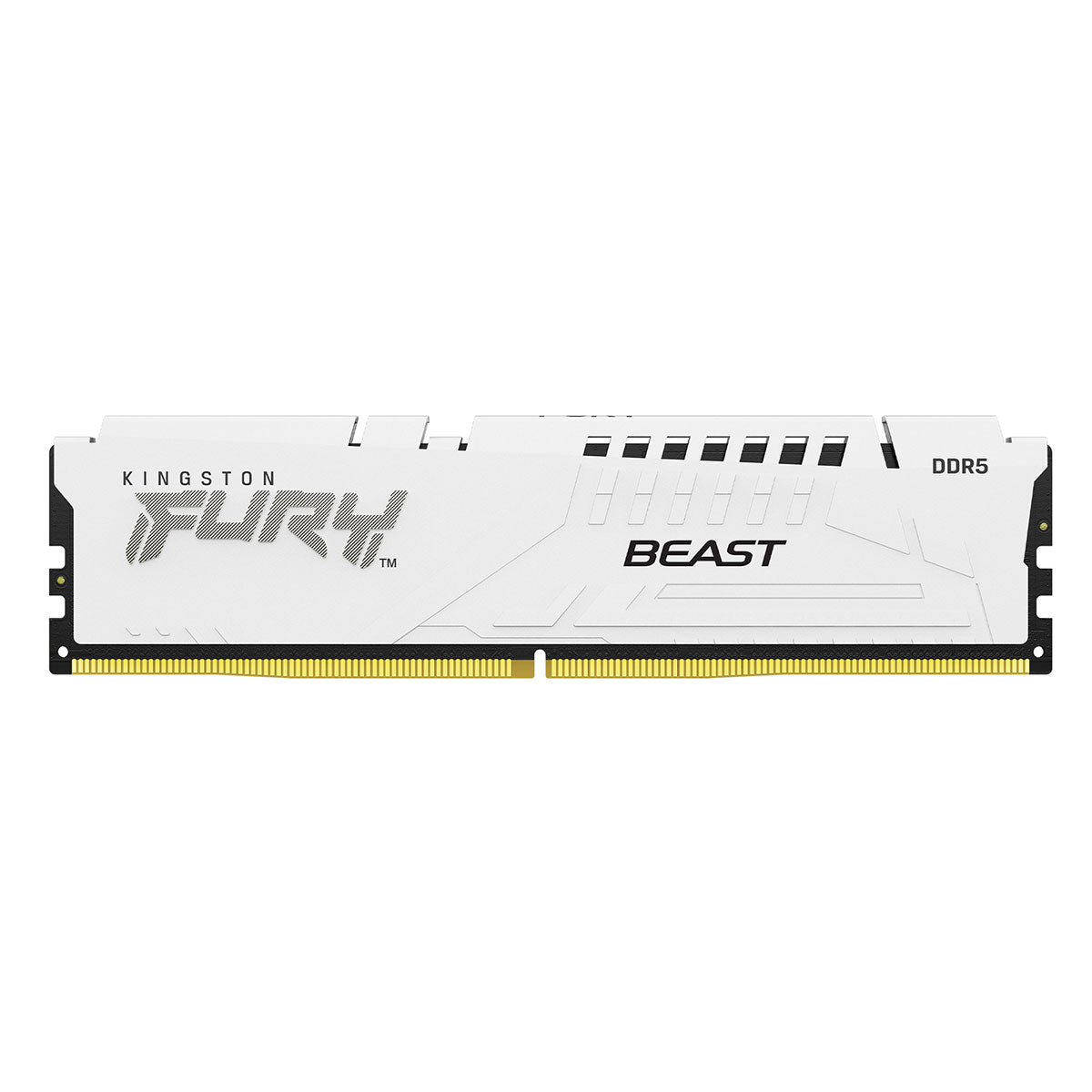 Kingston Fury Beast 32GB (1X32GB) DDR5 Expo 5200MT/S CL36 Memory