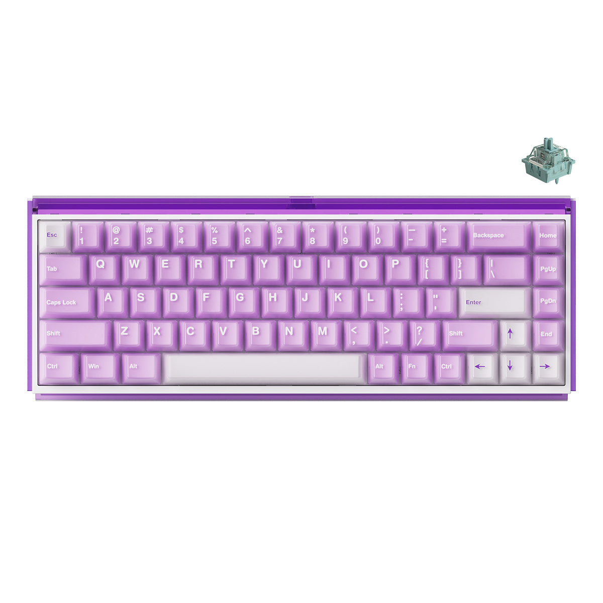 Akko Ray68 RGB Wired Mechanical Keyboard (Misty Purple & White) (Akko AstroAim Magnetic Switch)