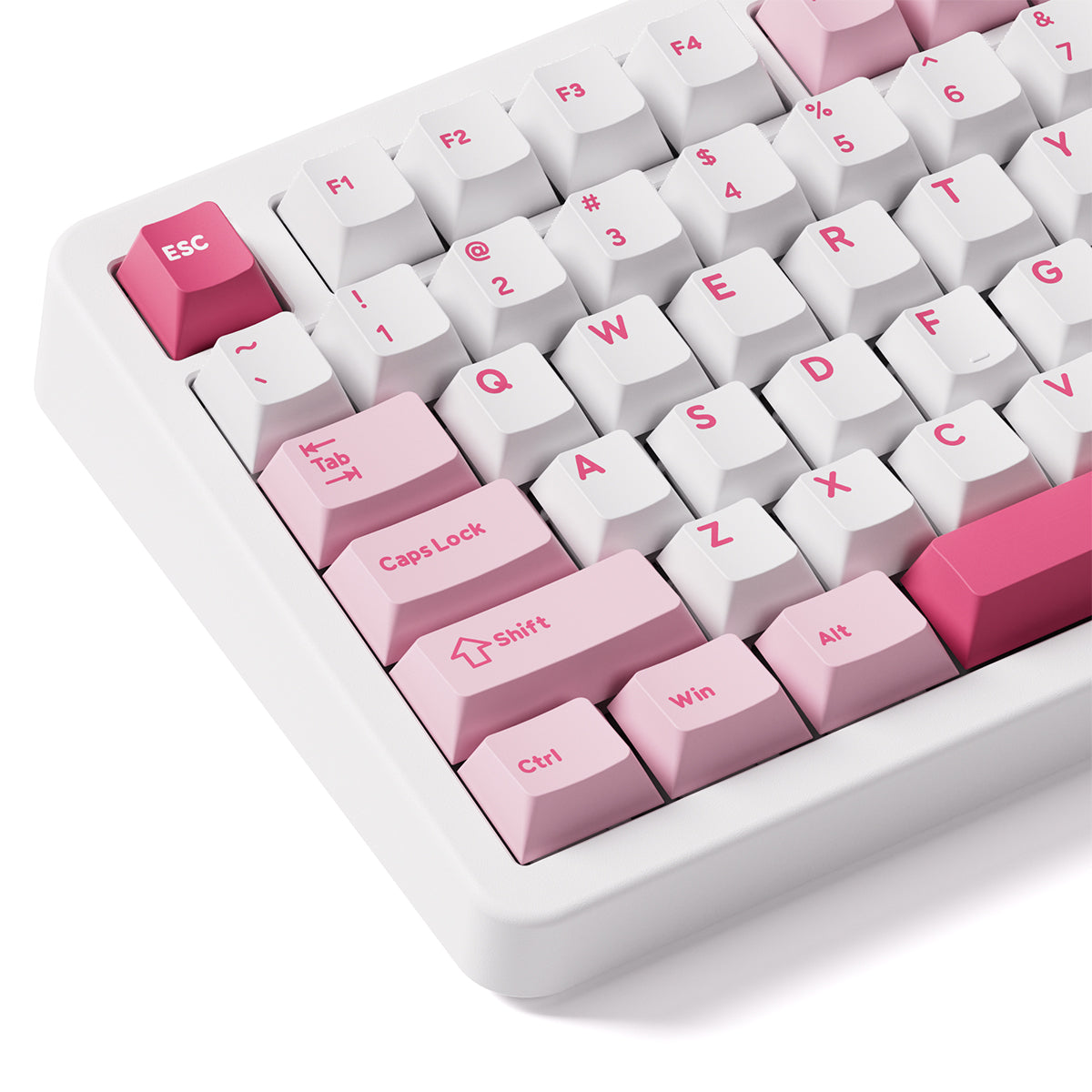 Akko TAC87 Prunus Lannesiana Multi-Mode RGB Hot-Swappable Mechanical Keyboard