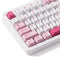 Akko TAC87 Prunus Lannesiana Multi-Mode RGB Hot-Swappable Mechanical Keyboard