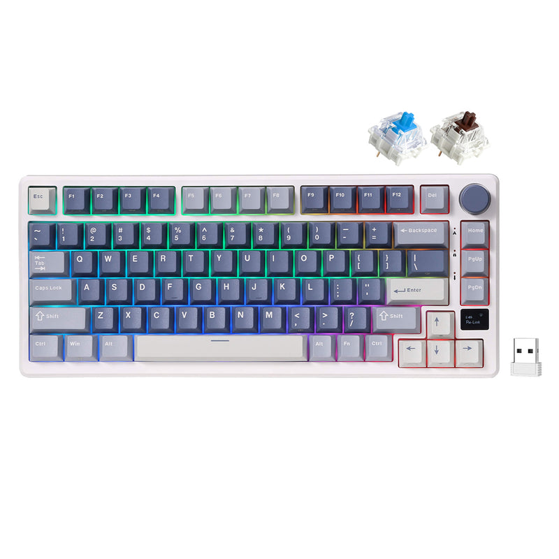 Royal Kludge RK-M75 Tri-Mode RGB 81 Keys Hot-Swappable Mechanical Keyboard Ocean Blue (Blue Switch, Brown Switch)