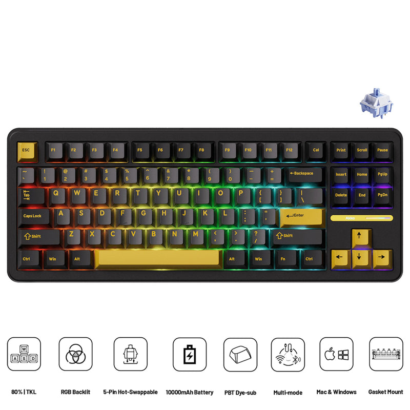 Akko TAC87 Black & Gold Multi-Mode RGB Hot-Swappable Mechanical Keyboard (Akko Mirror Switch)