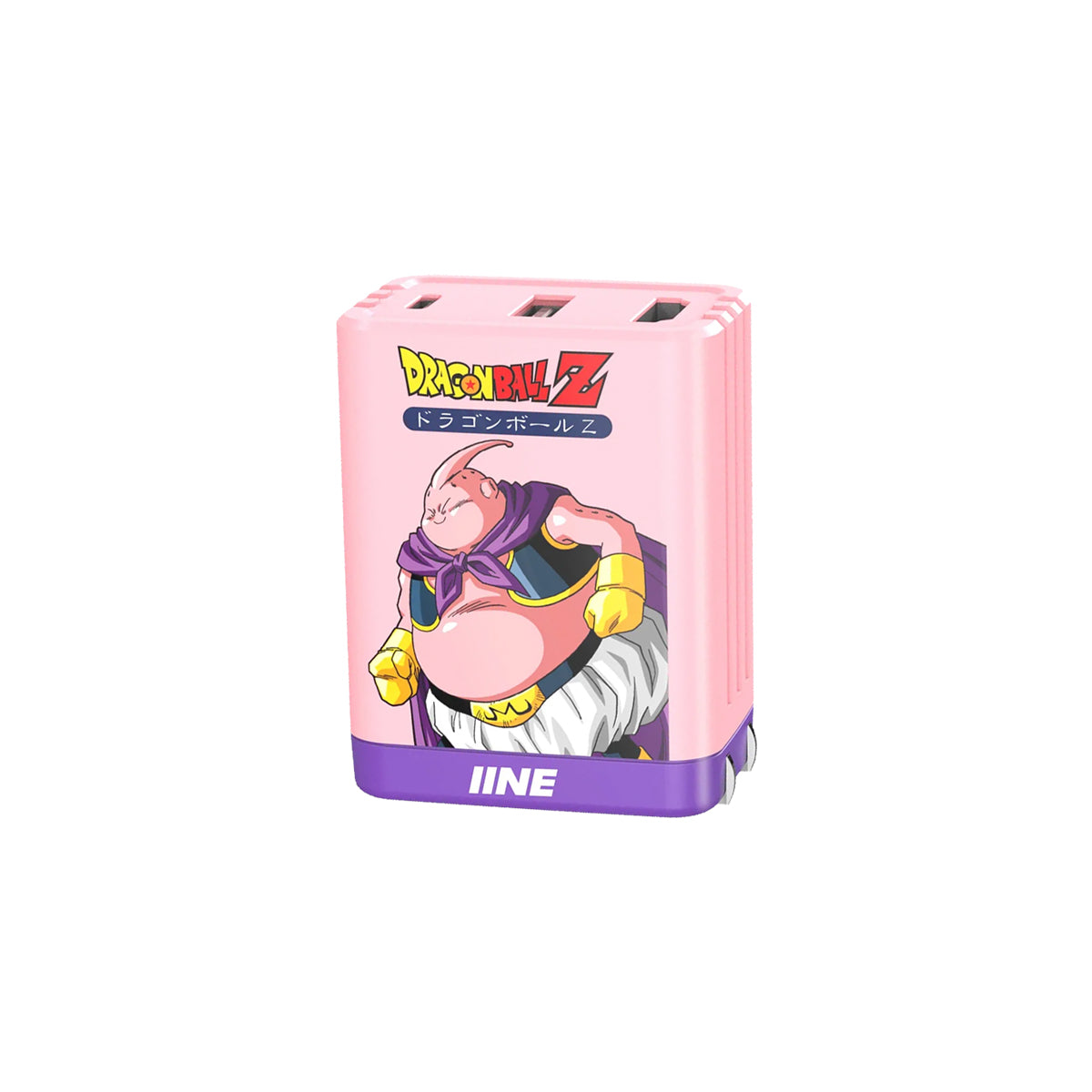 IINE 65W GaN Video Converter Fast Charger