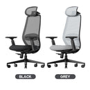 ProtoArc EC200 Ergonomic Mesh Office Chair (Black, Grey) (CP016352, CP016353)