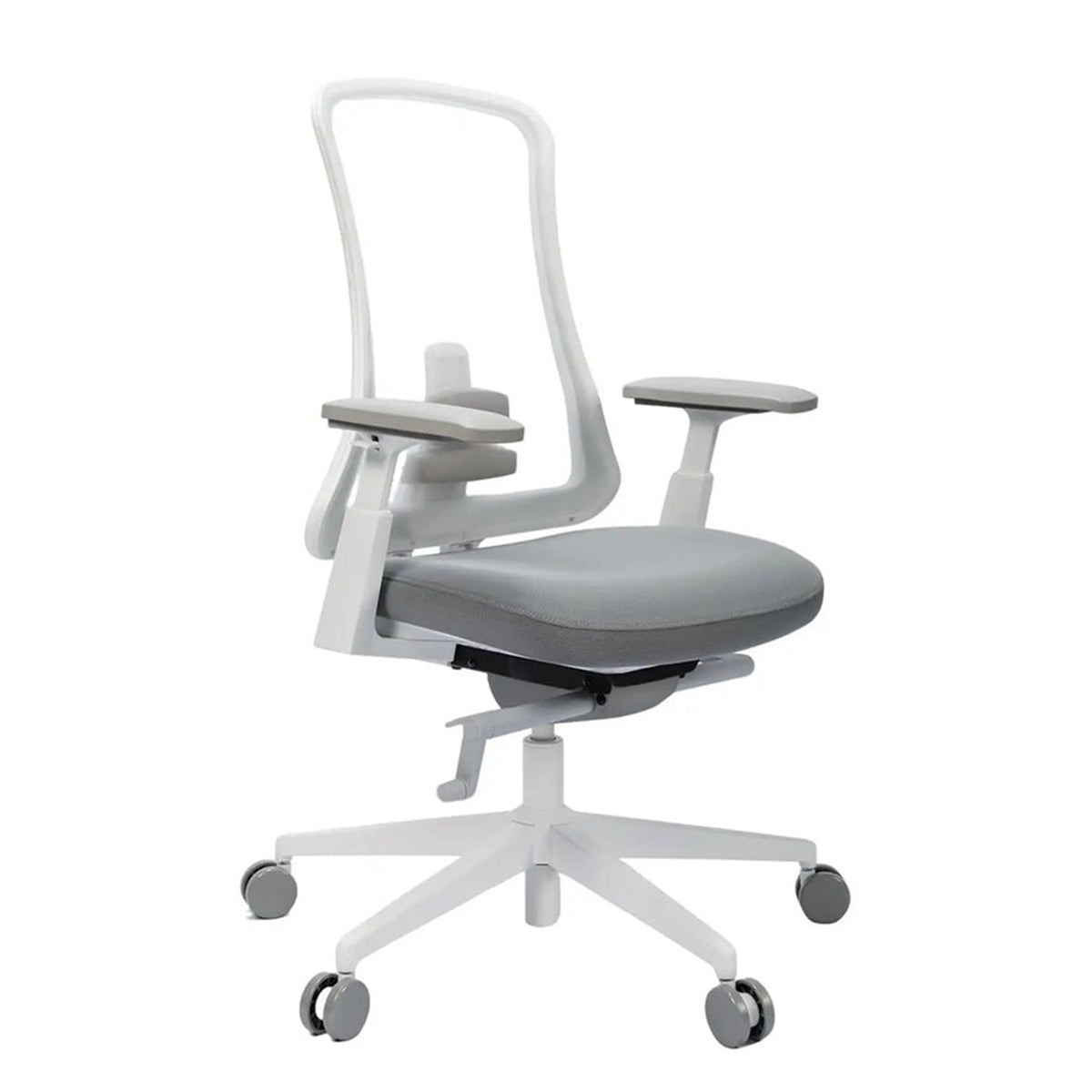 ProtoArc Flexer Pro Mesh Ergonomic Office Chair (Black, White) (CP016459, CP016460)
