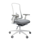 ProtoArc Flexer Pro Mesh Ergonomic Office Chair (Black, White) (CP016459, CP016460)