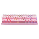 Ajazz ALUX60 RGB Wired 61-Keys Hot-Swappable Mechanical Keyboard 