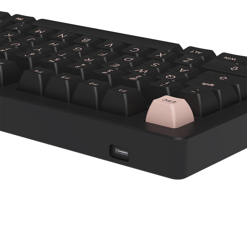 AKKO ACR Pro 75 Black Pre-Assembled Version RGB Mechanical Keyboard Hot-Swappable Gasket Mount (Akko Crystal) (Black-South Facing PCB)