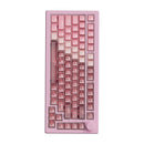 Akko 5075 V3 Wired ARGB Hot-Swappable Magnetic Keyboard (Gradient Hybrid Pink Transparent)