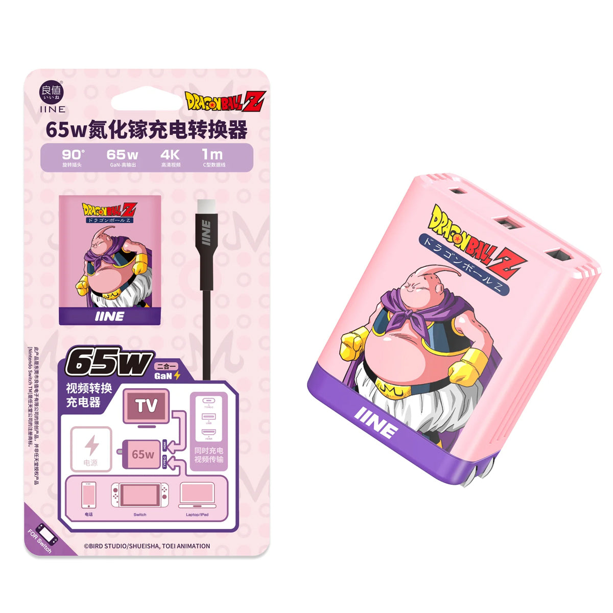 IINE 65W GaN Video Converter Fast Charger
