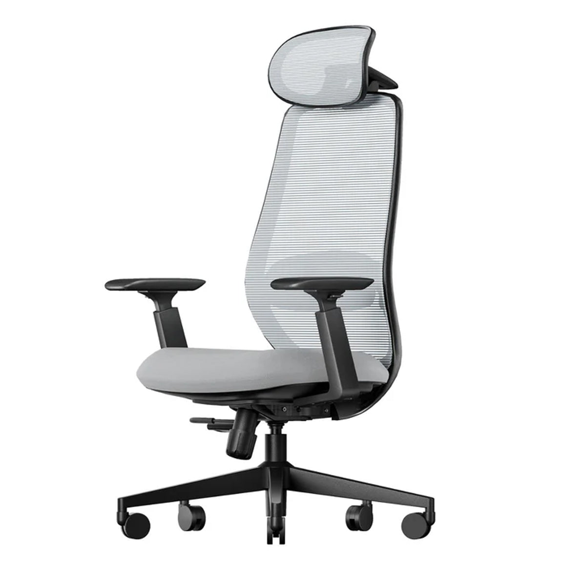ProtoArc EC200 Ergonomic Mesh Office Chair (Black, Grey) (CP016352, CP016353)