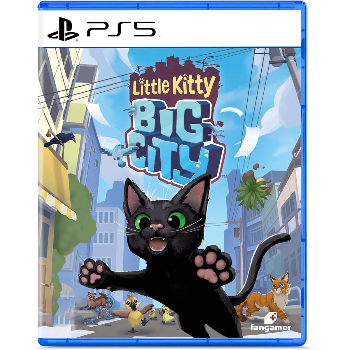 Little Kitty Big City | DataBlitz