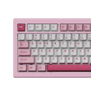 Akko 5075 V3 Multi-Mode RGB Hot-Swappable Mechanical Keyboard (Prunus Lannesiana)
