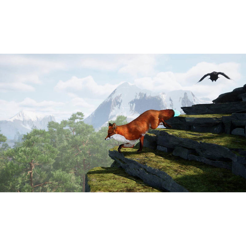 PS5 Spirit of the North 2