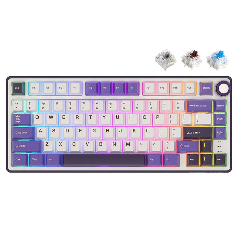 Royal Kludge R75 QMK Single-Mode RGB 81-Keys Hot-Swappable Mechanical Keyboard Blackberry Mousse (Blue Switch, Brown Switch, K Silver Switch)