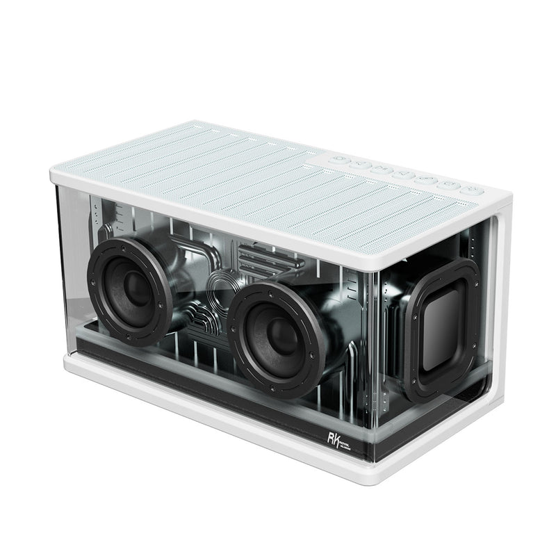 Royal Kludge SH100 RGB Gaming Speaker | DataBlitz