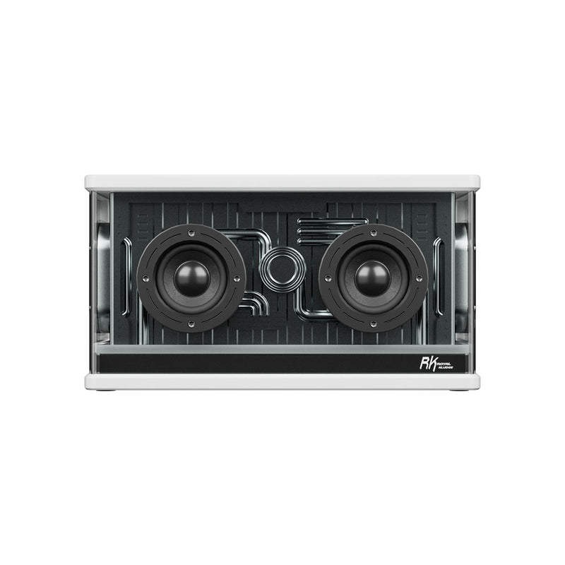 Royal Kludge SH100 RGB Gaming Speaker | DataBlitz