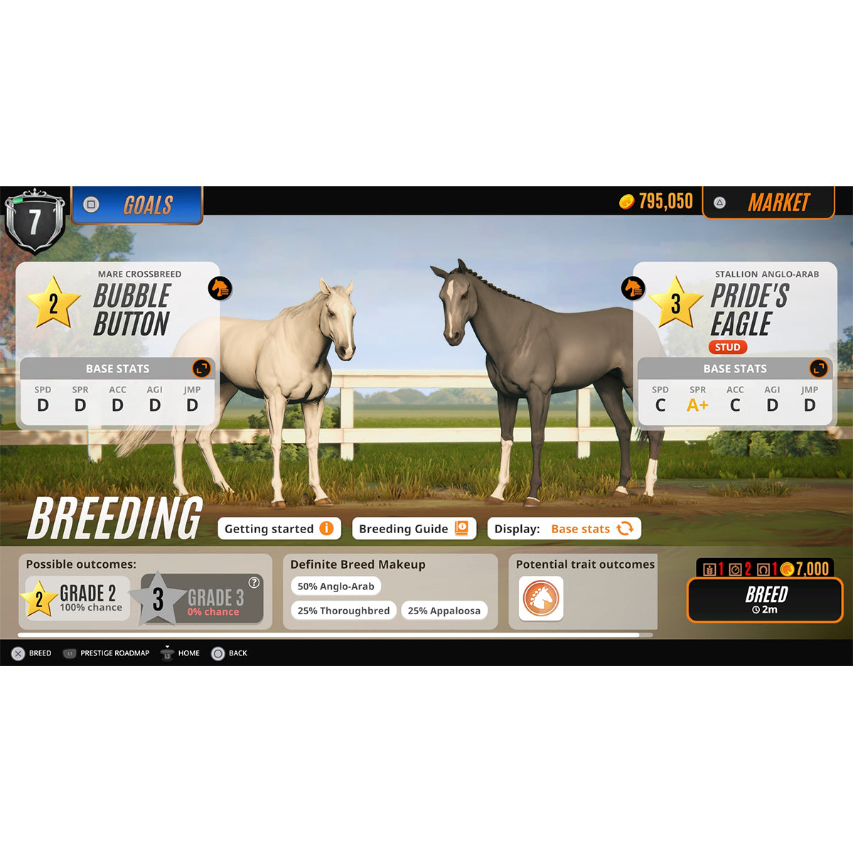 Rival Stars Horse Racing
