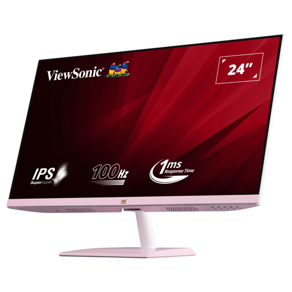 Viewpoint Monitor Price ViewSonic VA2436-H-PN 24