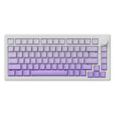 Akko 5075 V3 Multi-Mode RGB Hot-Swappable Mechanical Keyboard (Gradient Puple)
