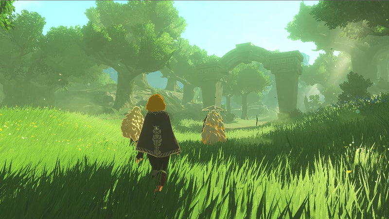 Hyrule Warriors: Age of Imprisonment Pre-Order