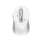 Promate Dual Mode Wireless Optical Mouse (White) | DataBlitz
