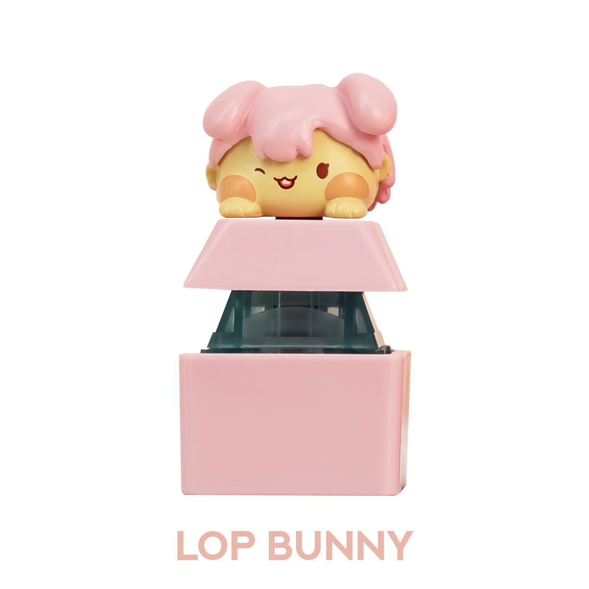 Akko Single Switch Tester