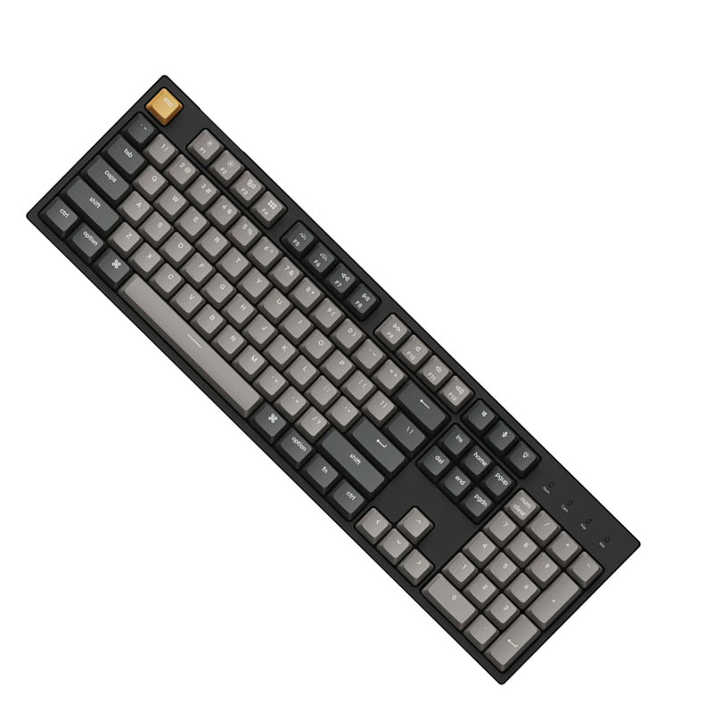 Keychron C2 Pro QMK/VIA White Backlit Full Size Wired Mechanical Keyboard (K Pro Red Switch) (C2P-K1)