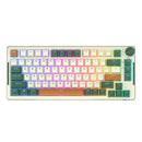 Royal Kludge RK-H81 Tri-Mode RGB 81 Keys Hot Swappable Mechanical Keyboard Time Machine