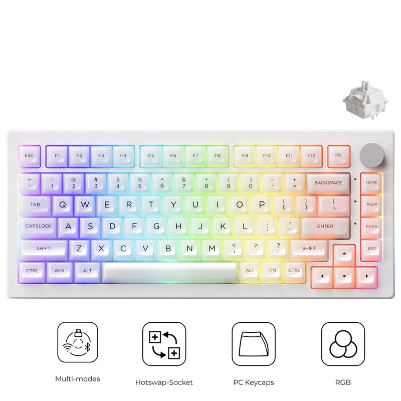 Akko 5075B Plus ASA Clear Multi-Mode RGB Hot-Swappable Mechanical Keyboard White (Akko V3 Piano Pro Switch Special Version)