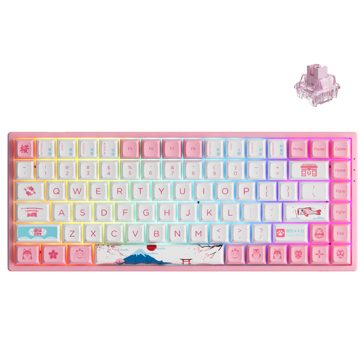 AKKO World Tour Tokyo R2 3084B Plus Hot-Swappable Multi-Mode RGB Mechanical Keyboard (AKKO CS Jelly Pink)