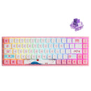 AKKO World Tour Tokyo R2 3068B Plus Multi-Modes RGB Mechanical Keyboard (AKKO CS Jelly Purple)