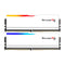 G.Skill Ripjaws M5 RGB 32GB (2X16GB) DDR5 6000MHZ CL32-38-38-96 1.35V Intel Xmp Desktop Memory