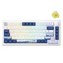 Akko MOD 007B HE PC Tri-Mode RGB Mechanical Keyboard (Santorini) (Akko Cream Yellow Magnetic Switch)