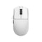 VXE Dragonfly R1 Pro Lightweight Wireless Gaming Mouse