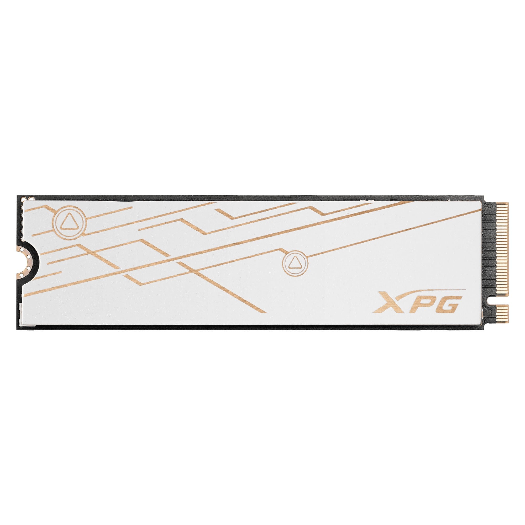 Adata XPG Mars 980 Blade PCIe Gen5 x4 M.2 2280 SSD | DataBlitz