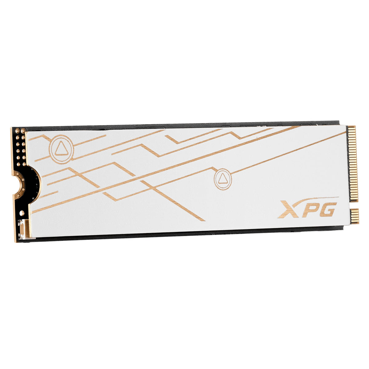Adata XPG Mars 980 Blade PCIe Gen5 x4 M.2 2280 SSD | DataBlitz